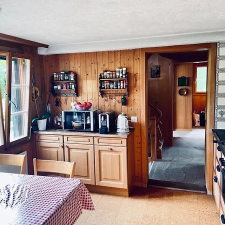 Homestay Double 2 In The Alpine Gstaad Kalberhoni