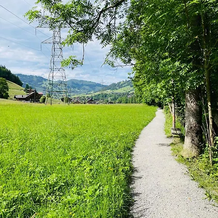 Double 2 In The Alpine Gstaad *